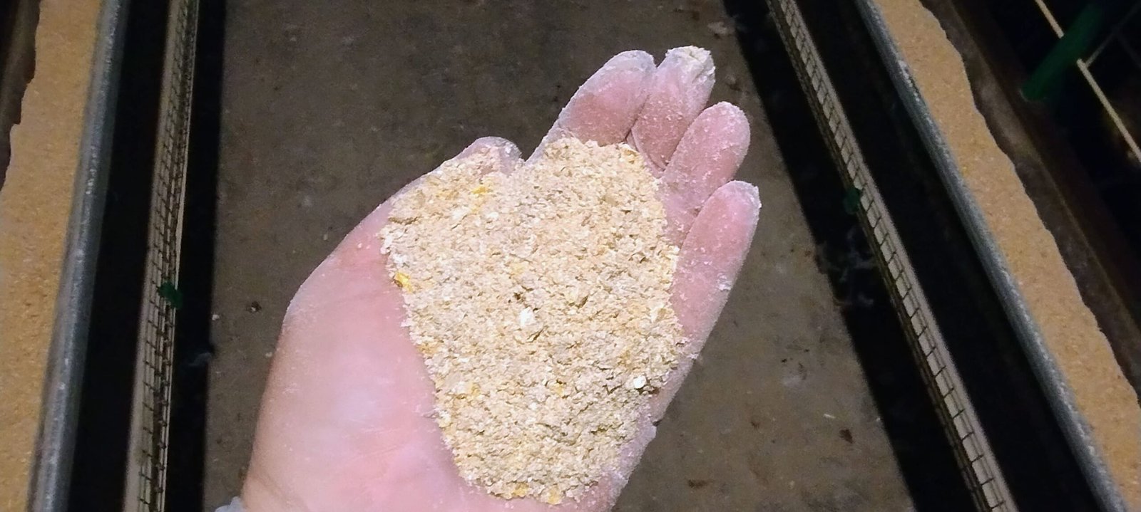 Asistencia profesional veterinaria a granjeros y productores avícolas - Imagen 3